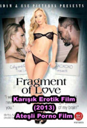 Karışık Seks Sahneleri Porno Filmi izle